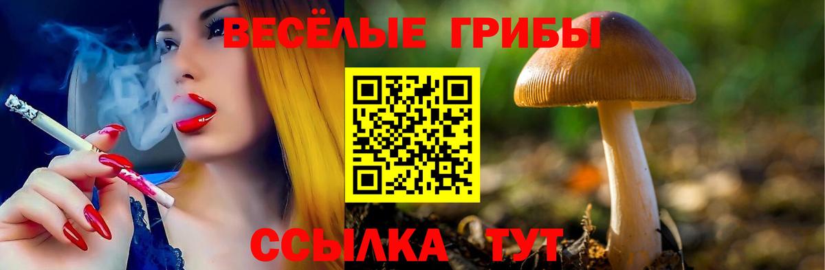 наркота  Вход с VPN  Лангепас  Галлюциногенные грибы GOLDEN TEACHER 